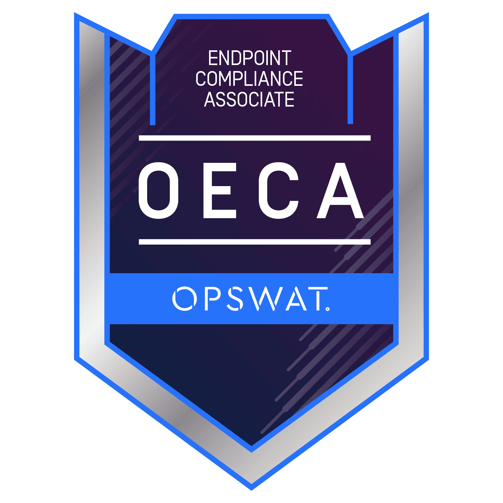 OPSWAT: Critical Infrastructure Protection OPSWAT: Critical Infrastructure Protection - SecurityWall team certification badge